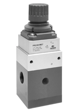Прецизионный регулятор давления Camozzi PR204-M07
